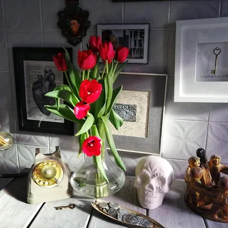 Ramaya, Casa D'artista Биелла